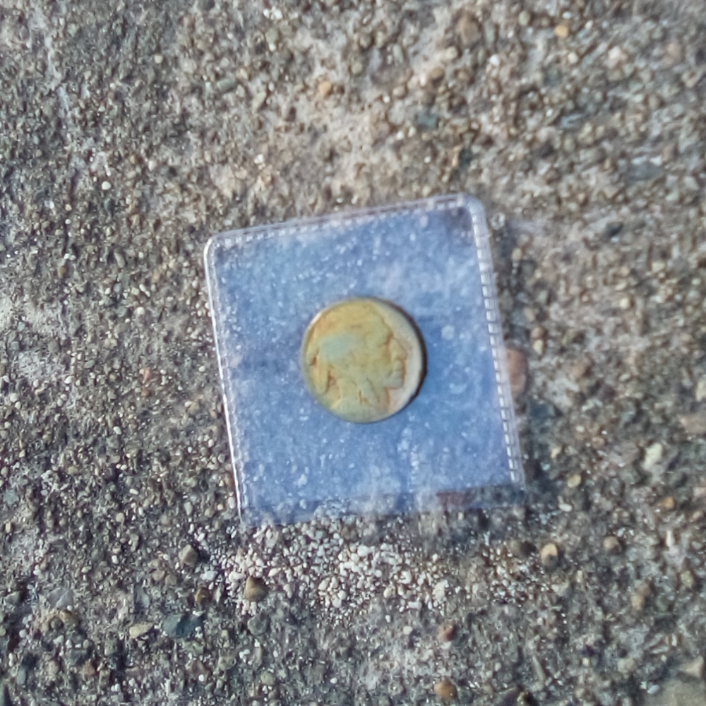 🌈Stunning 1920 Buffalo Nickel (Rainbow Tone)